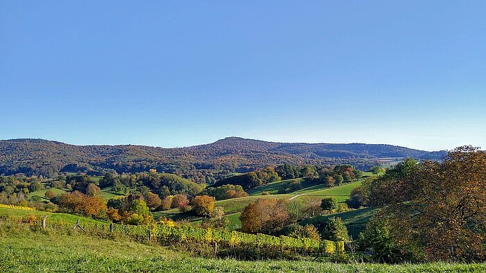 Odenwald