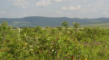 Republik Kongo Landschaft