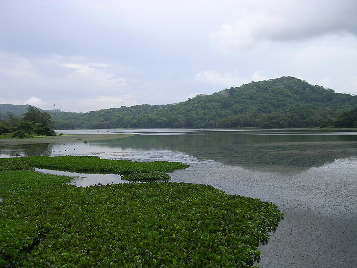 Nationalpark in Panama