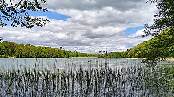 Liepnitzsee 