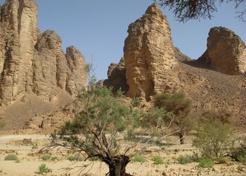 Wüste und Oase in Algerien