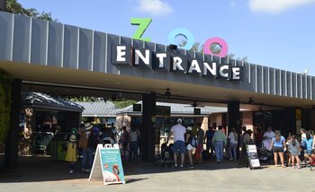 Beliebteste Vornamen USA