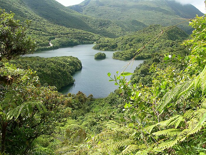 See auf der Insel Dominica