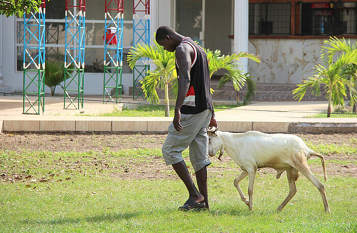 Bauer in Gambia mit einer Ziege