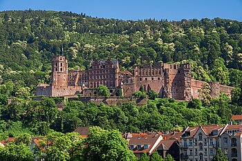 Heidelberg, Schloss