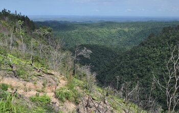 Belize Berge