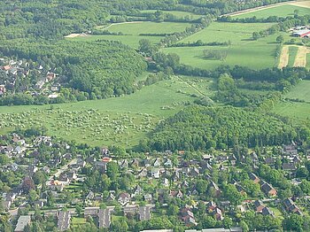 Hamburger Wald