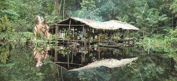 Geschichte Venezuelas