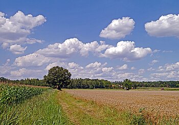 Wirtschaft in Nordrhein-Westfalen