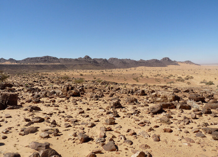 Geröllwüste in der Region Adrar