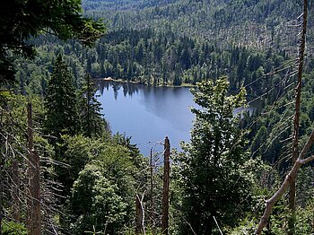 Blick auf Rachelsee