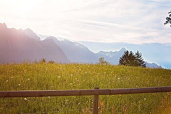 Klimawandel in Österreich