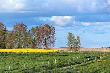 Flächennnutzung Mecklenburg-Vorpommern