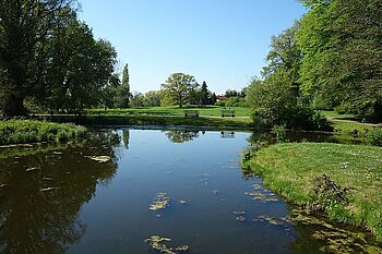 Auenlandschaft in Brandenburg