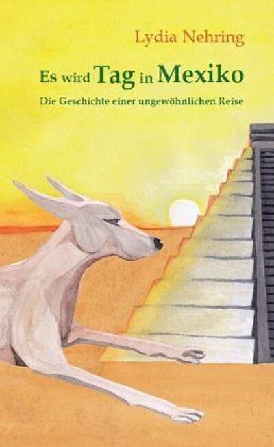 Lydia Nehring: Es wird Tag in Mexiko: Geschichte einer ungewöhnlichen Reise