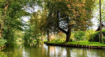 Spreewald