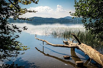  Laacher See