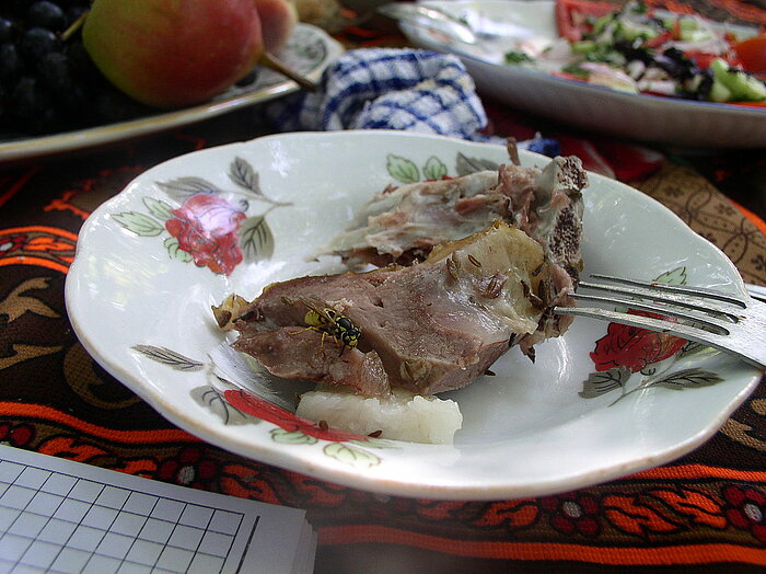 Kebab aus dem Tandur in Usbekistan