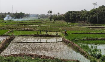 Guinea-Bissau Wirtschaft