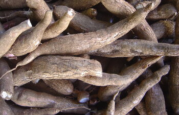 Guyana: typisches Essen