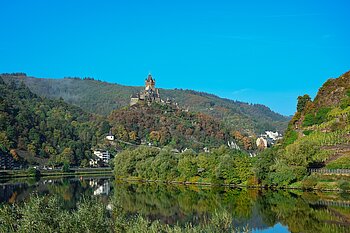 Wald in Rheinland-Pfalz