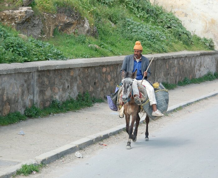 Mann aus Marokko unterwegs auf dem Esel