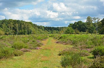 Wahner Heide