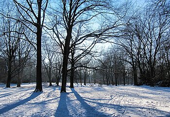 Berliner Tiergarten