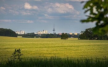 Fläche in Schleswig-Holstein