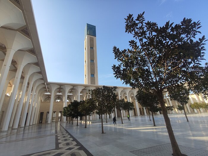 Algier: Große Moschee