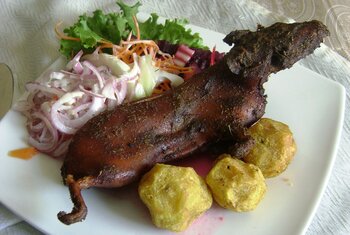 Frag mal: Meerschweinchen