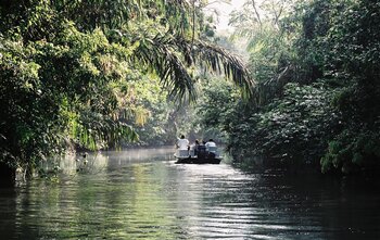 Nationalpark Tortuguera