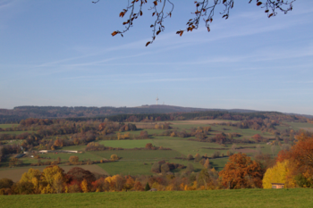 Im Naturpark Vogelsberg