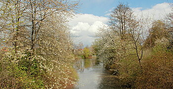 Lutterbach in Bielefeld