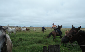 Venezuela Landwirtschaft