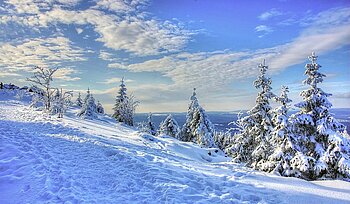 Klima im Harz