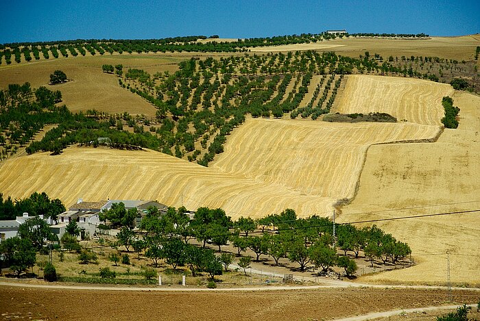 Andalusien