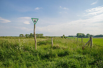 Falkenberger Rieselfelder