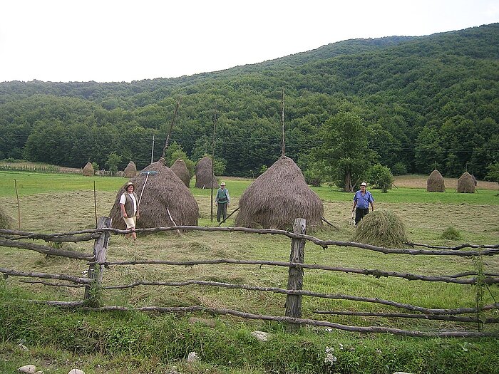 Arbeit auf dem Land