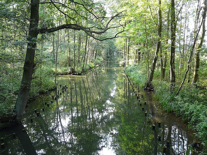 Spreewald