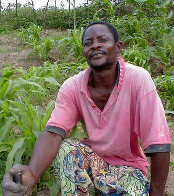 Landwirtschaft Kongo