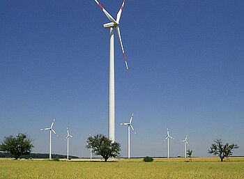 Windpark in Brandenburg