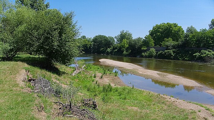 Das seichte Wasser der Mulde bei Eilenburg in Sachsen