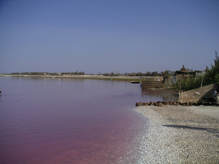Retba-See oder Lac Rose im Senegal