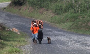 Kinder auf einer Straße in Guatemala