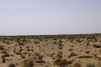 Klima Usbekistan
