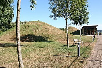 Grabhügel, Reinheim 