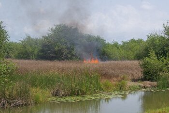 Ghana Bushfire