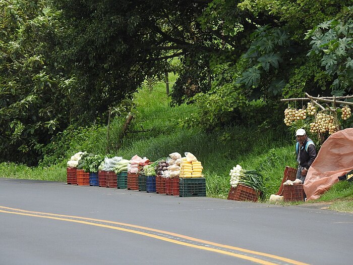 Straßenstand in Costa Rica