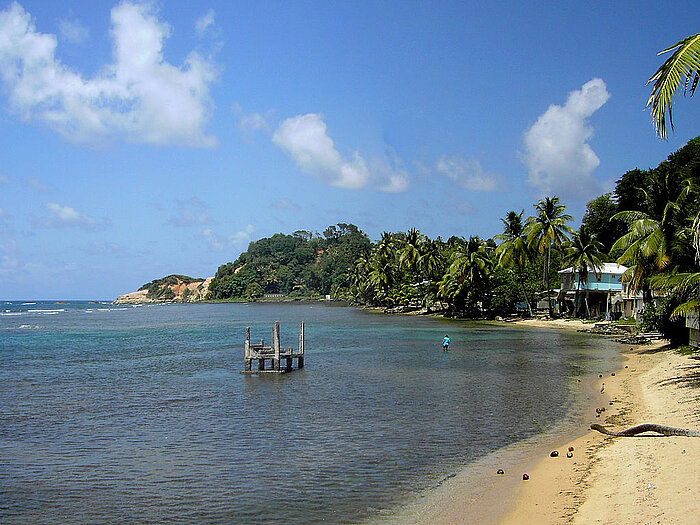 Strand auf Dominica